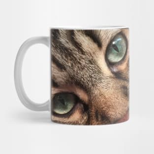 Ignatz, The Maine Coon Kitten Mug